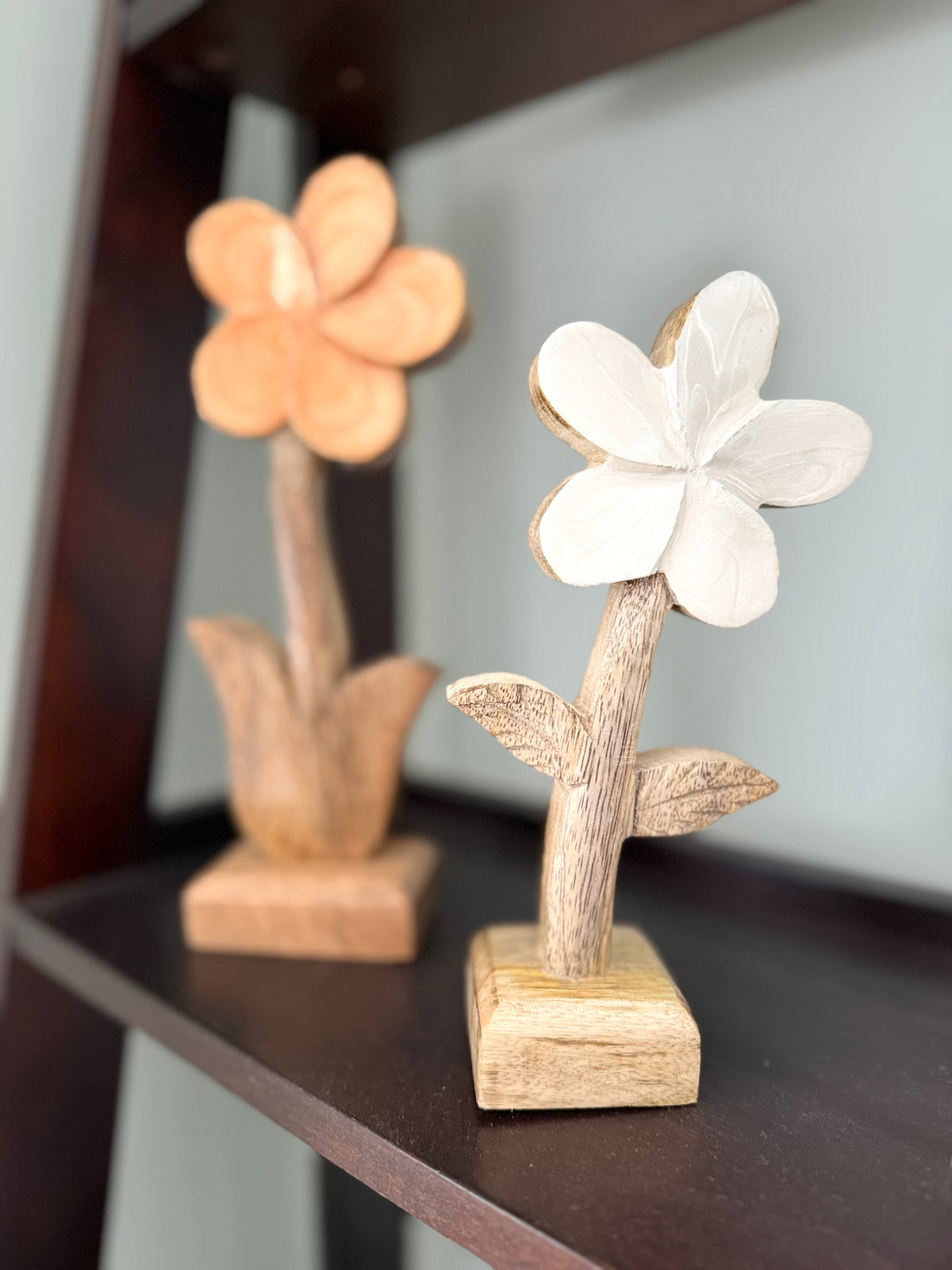 Wood Daisies