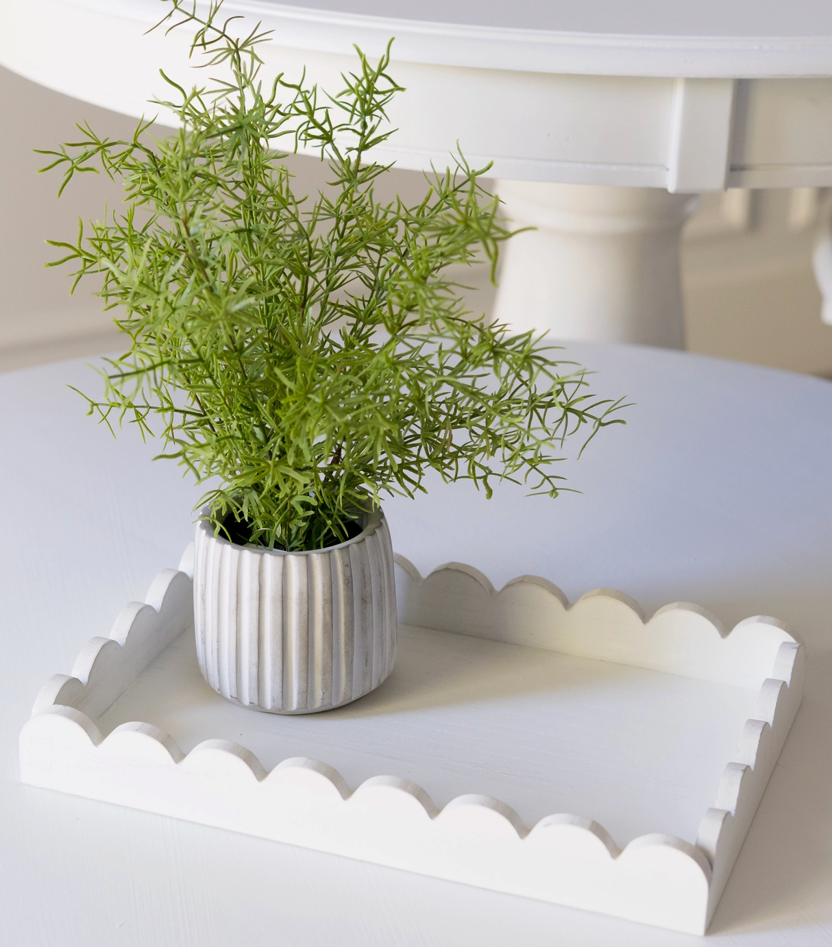 Scallop Tray