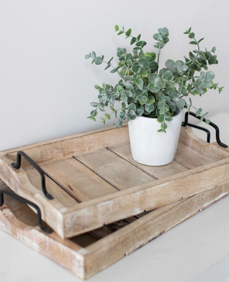 Mango Wood Tray