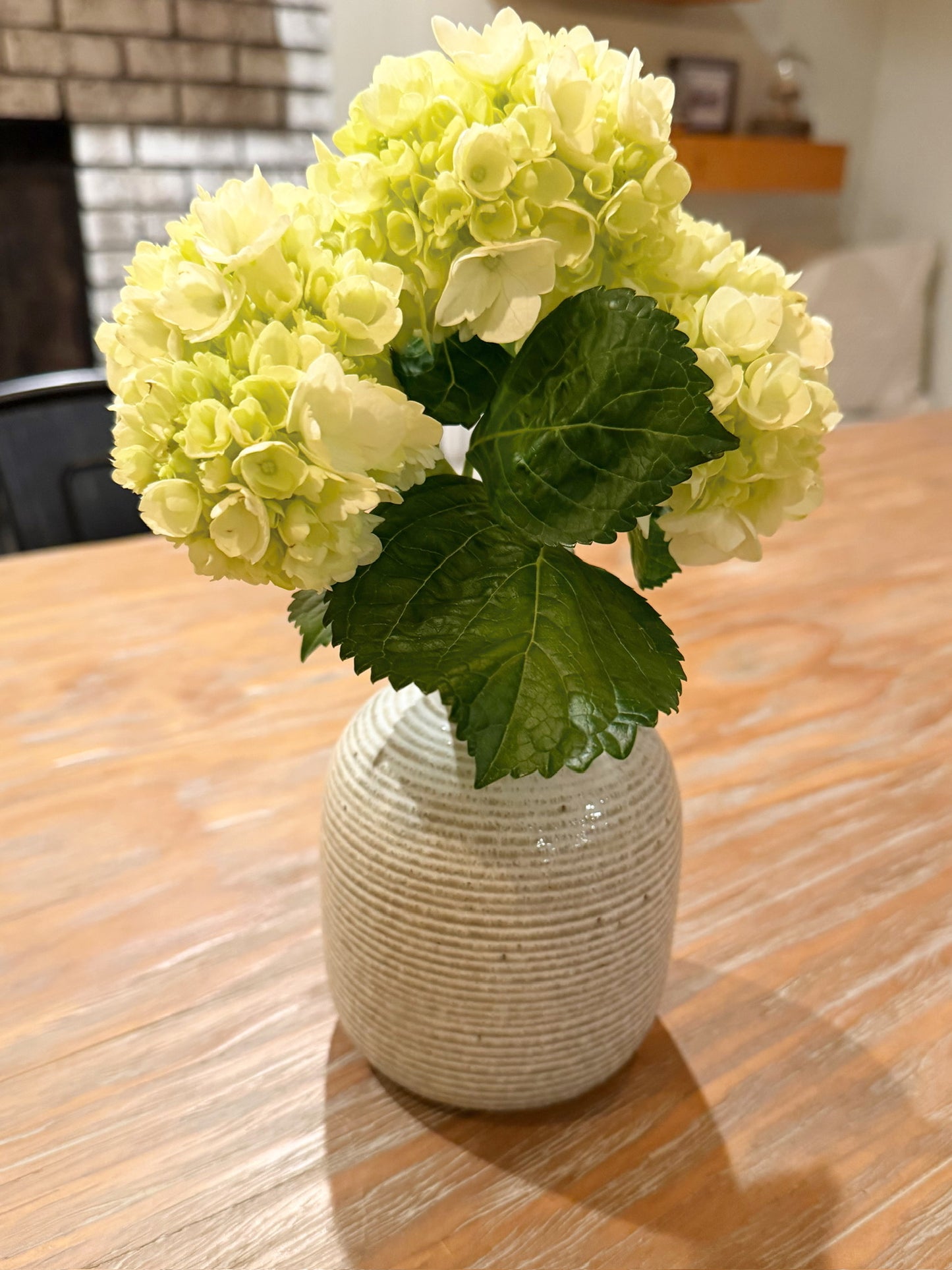 White Vase